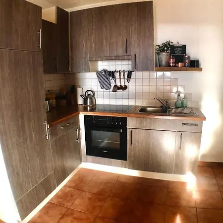 Apartment M's Wood Maishofen