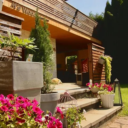 M's Wood Lejlighed Maishofen